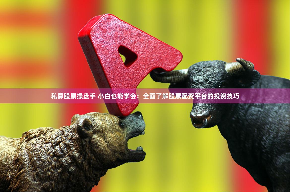 私募股票操盘手 小白也能学会：全面了解股票配资平台的投资技巧